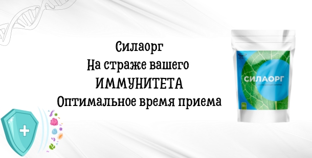 Силаорг | На страже вашего ИММУНИТЕТА | Оптимальное время приема