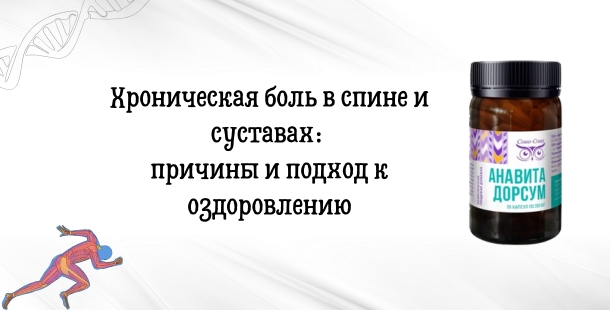 Анавита Дорсум при хронической боли в спине и суставах