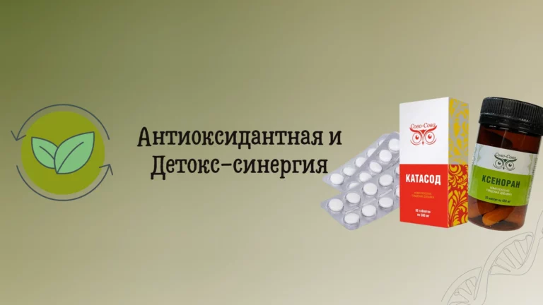 Катасод + Ксеноран — Антиоксидантная и Детокс-синергия