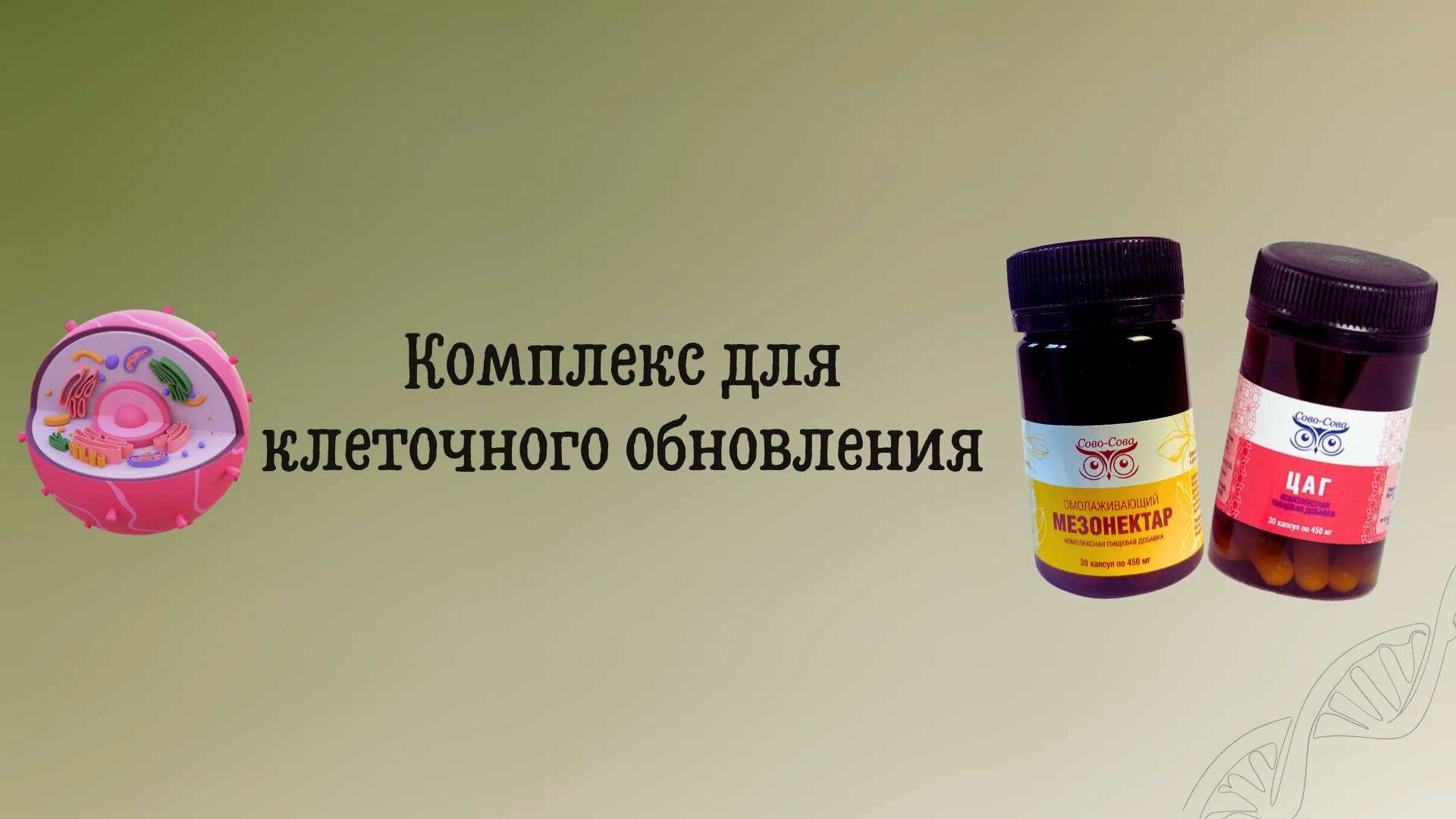 Мезонектар + ЦАГ — комплекс для клеточного обновления