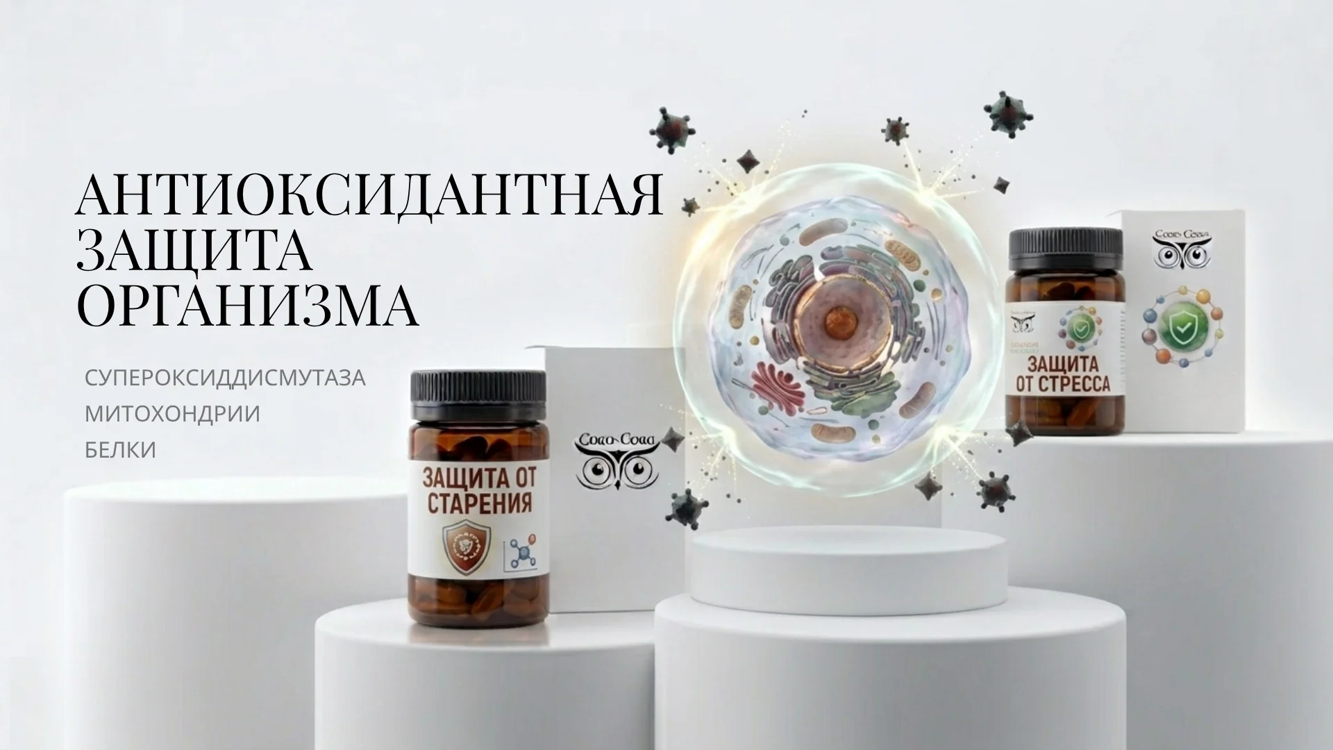 Антиоксидантная защита организма: как противостоять оксидативному стрессу и возрастным изменениям
