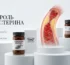 Контроль холестерина: современные стратегии поддержки липидного обмена