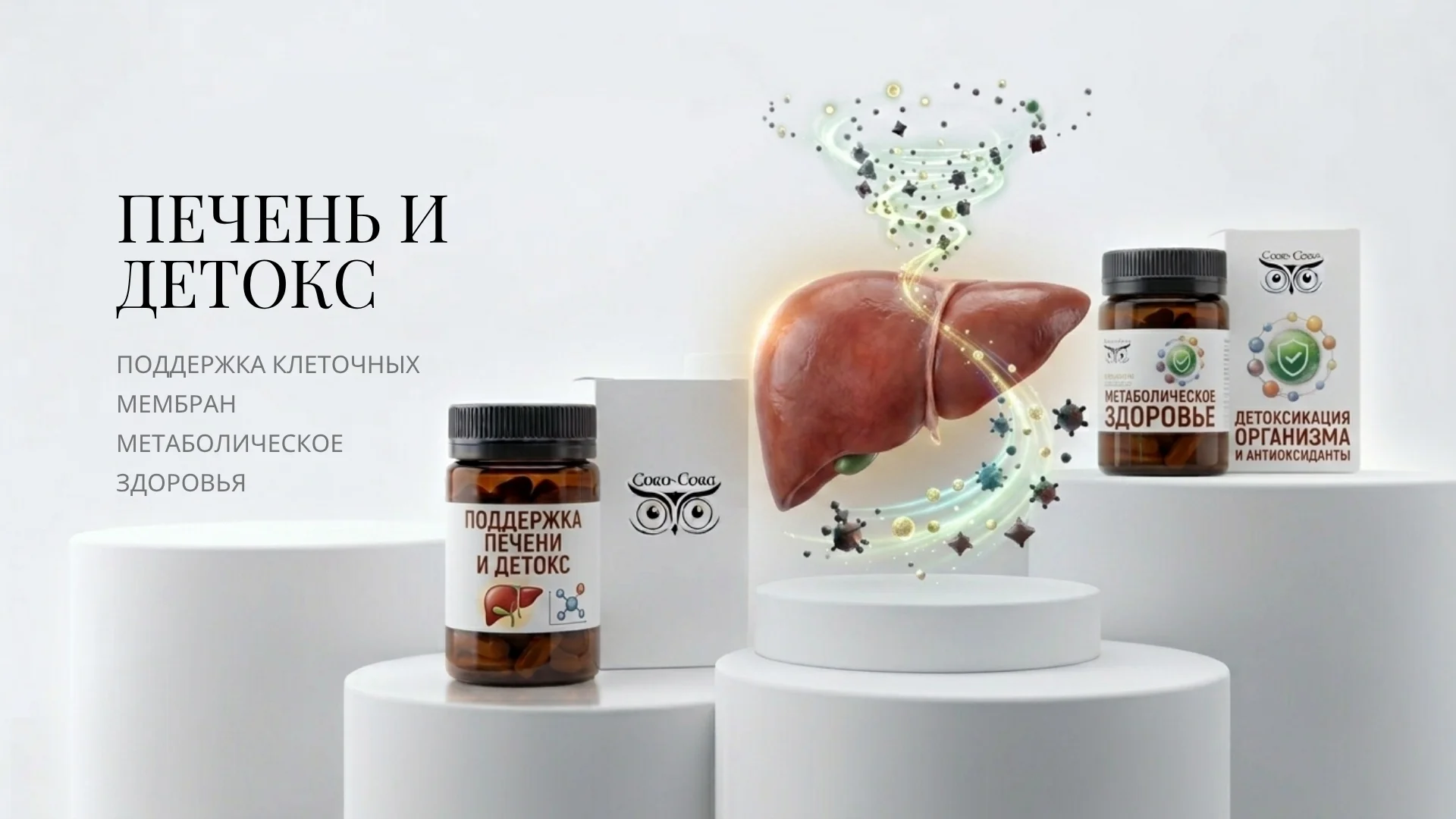 Поддержка печени и детоксикационные процессы организма